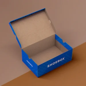 cardboard shoe boxes_